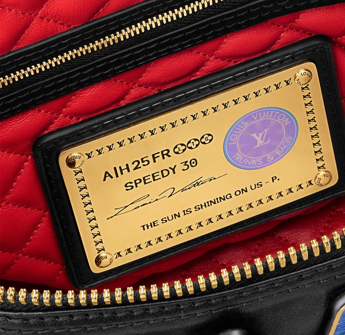 Louis Vuitton Speedy P9 Bandoulière 30 Pins bag