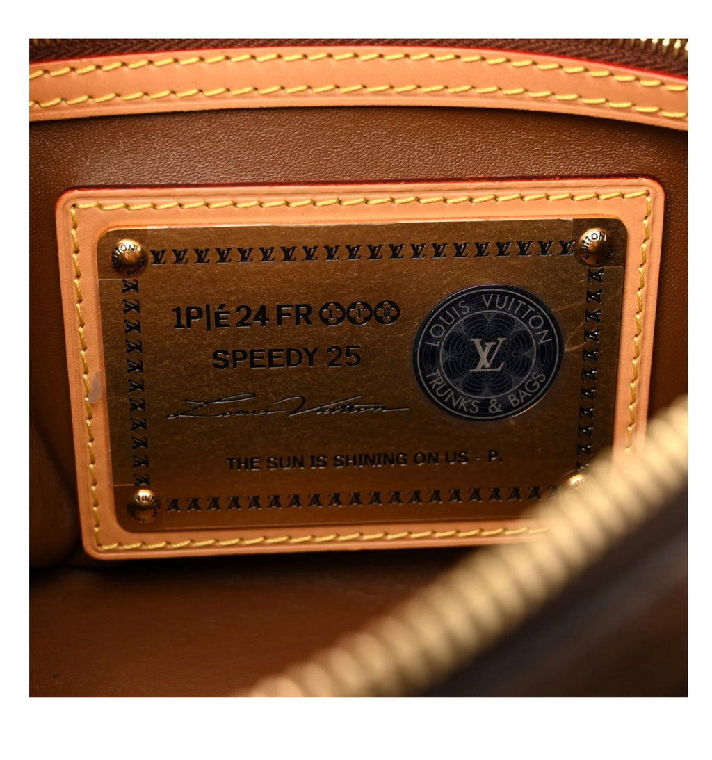 LOUIS VUITTON SPEEDY P9 BANDOULIÈRE MONOGRAM